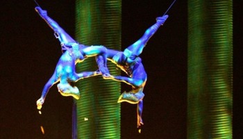 cirque-performer-killed-story-top.jpg