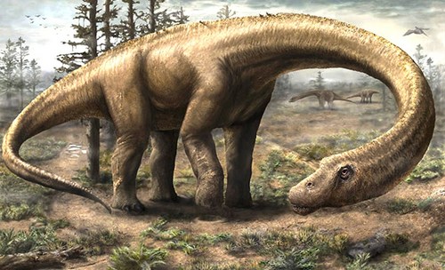 dreadnoughtus-1.jpg