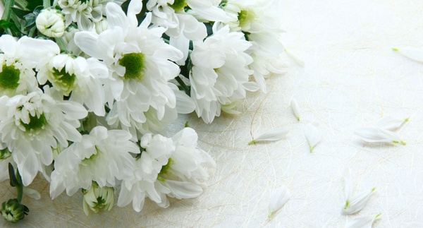 flowers_funeral.jpg