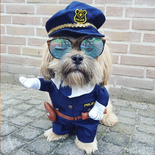 funny_dog_police.jpg