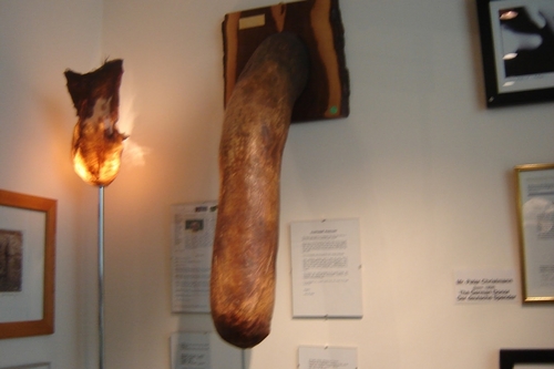 iceland-penis-museum-5.JPG