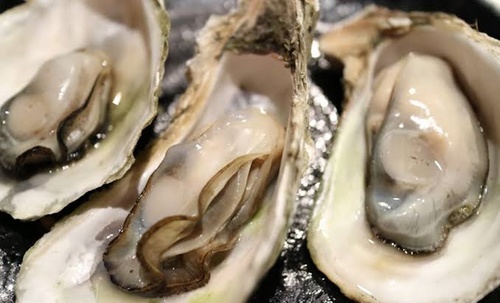 oyster19-3.jpg