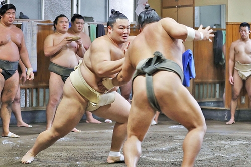sumo_wrestler.jpg